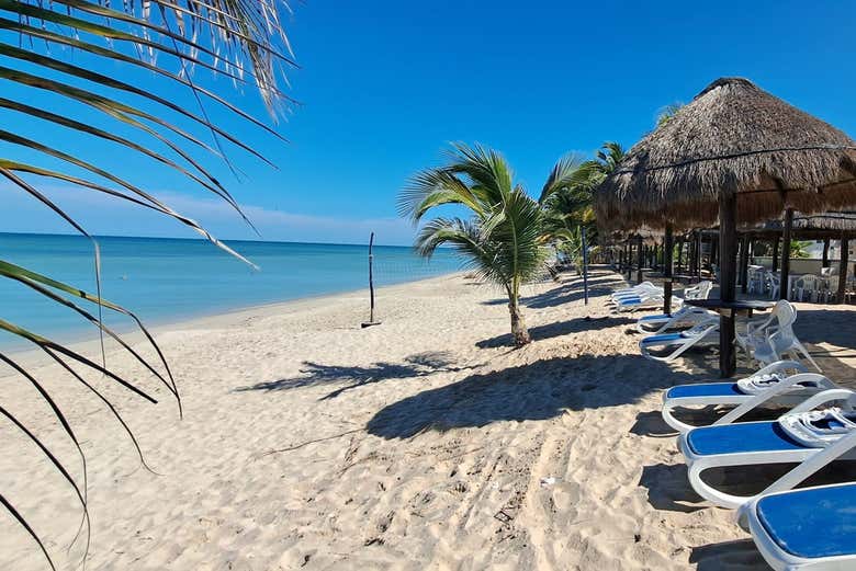 Vous pourrez vous détendre au soleil