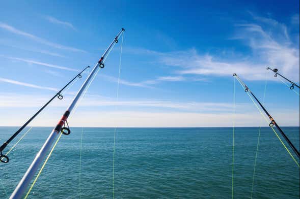 Experiencia privada de pesca en Campeche