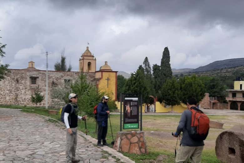 Armadillo del Infante