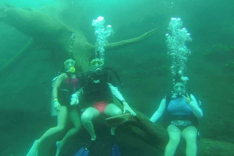 Descubriendo las profundidades de la laguna