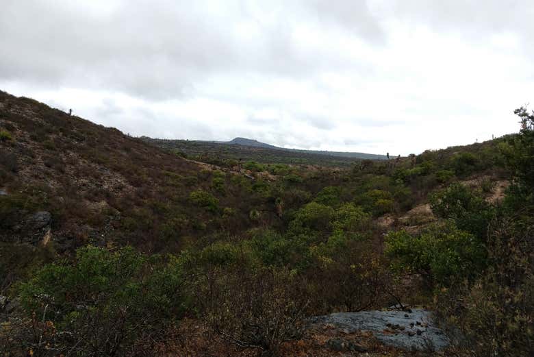 Paisagens naturais de Armadillo