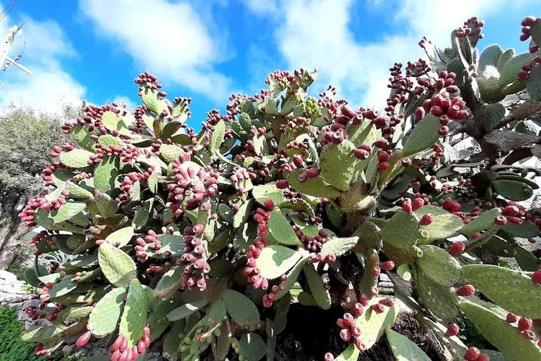Disfrutando de la naturaleza