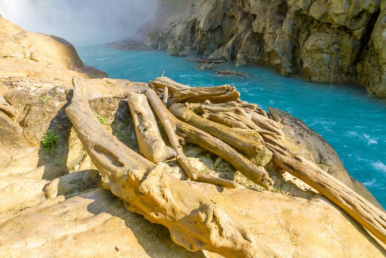 Rives de la rivière Gallinas