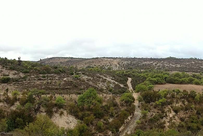 Paisagens naturais de Armadillo