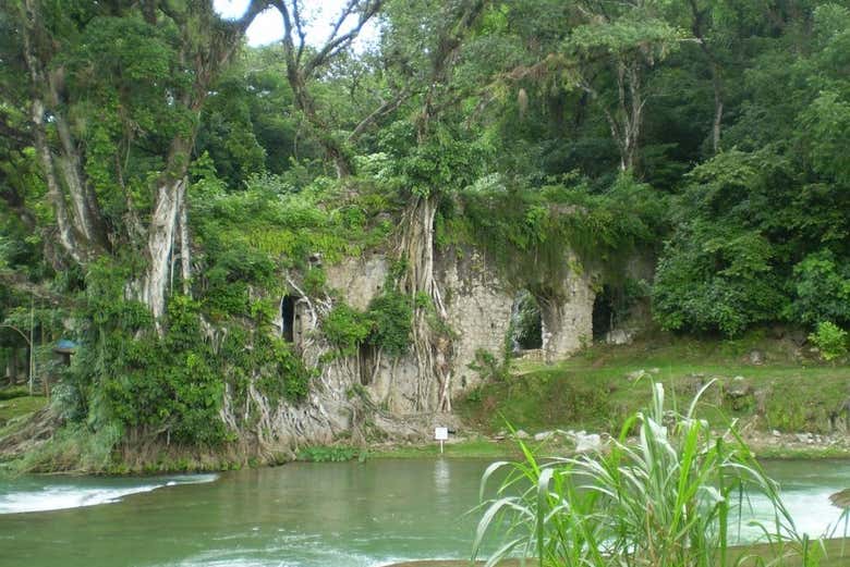 Un día en plena naturaleza
