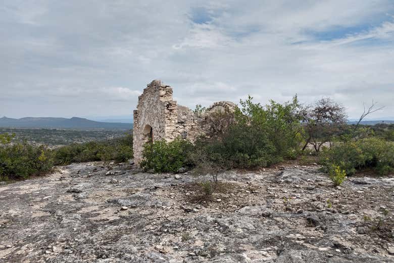 Vestígios de Armadillo de los Infante