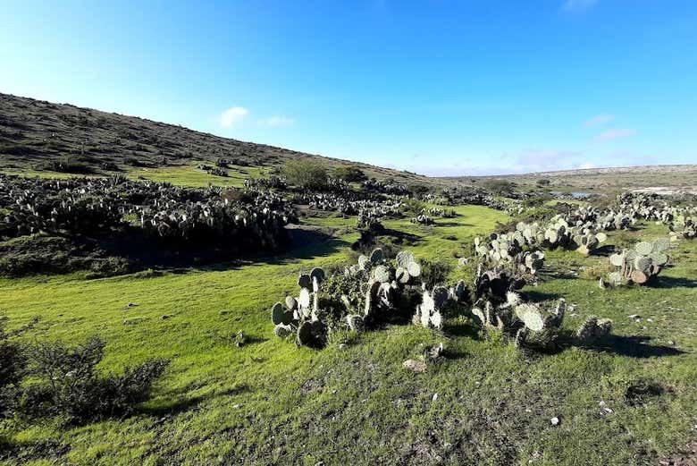 Vistas del Sendero del Capitán