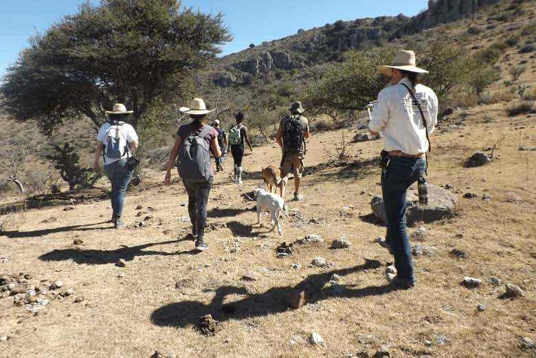 Senderismo por el Cañón del Coyote