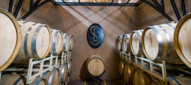 Visite d'un vignoble à San Miguel de Allende + dégustation de mezcal