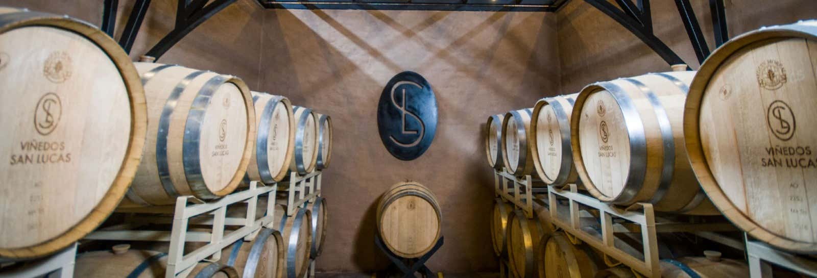 Food and wine experiences in San Miguel de Allende