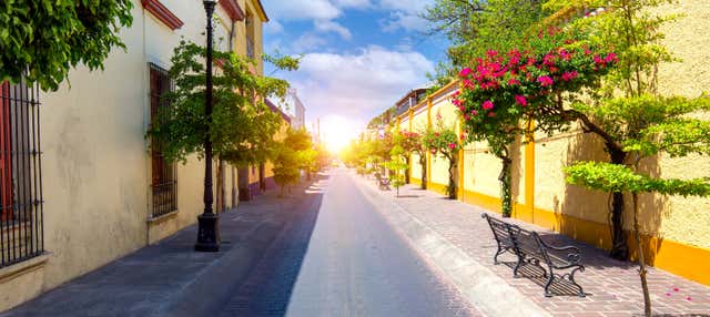 Tour privado por Tlaquepaque