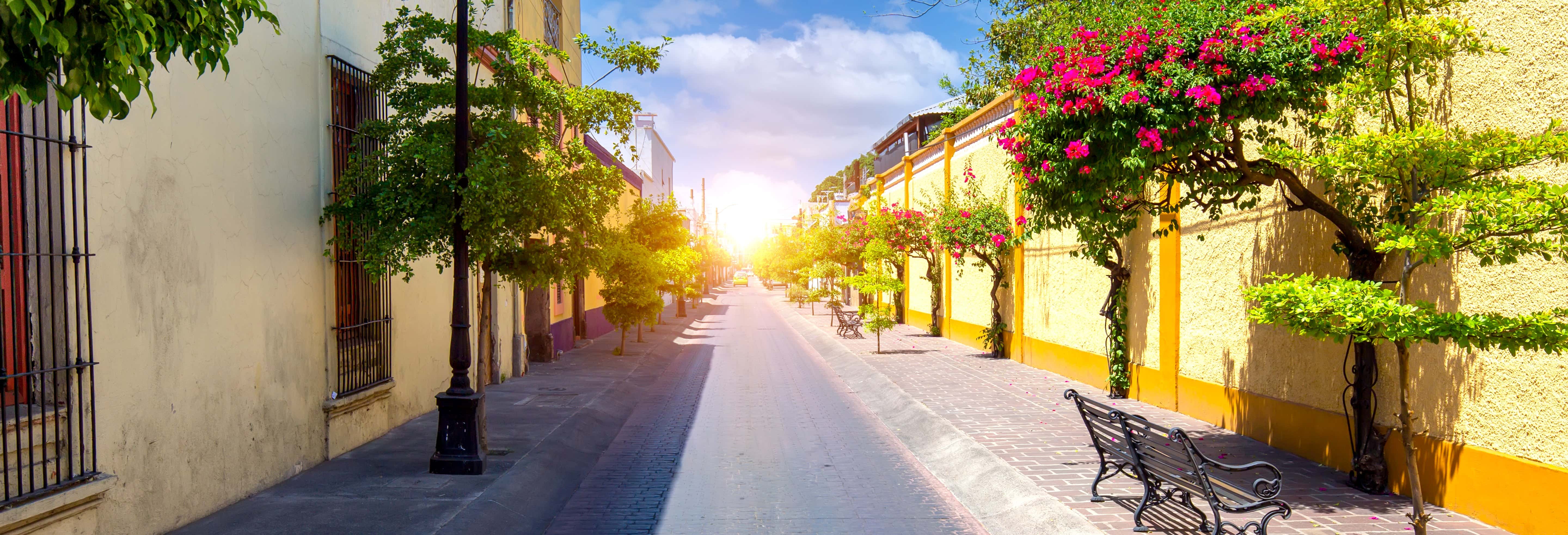 Visitas guiadas y free tours en San Pedro Tlaquepaque