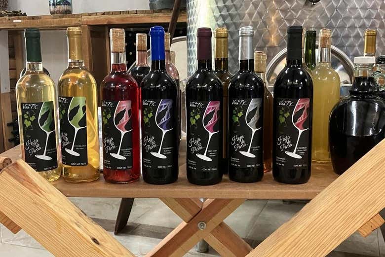 Tomaremos vino queretano