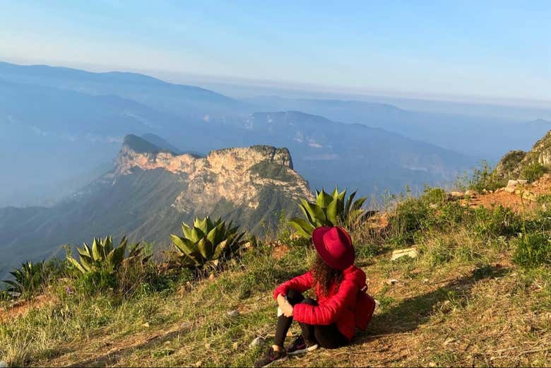 Momento de contemplación