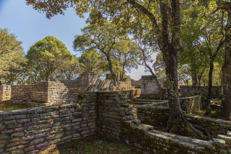  Zona arqueológica de Toluquilla
