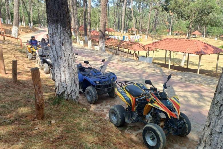 Passearemos de quadriciclo