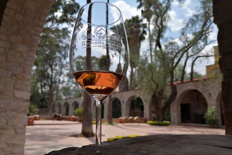 Il vino dell'Hacienda Atongo