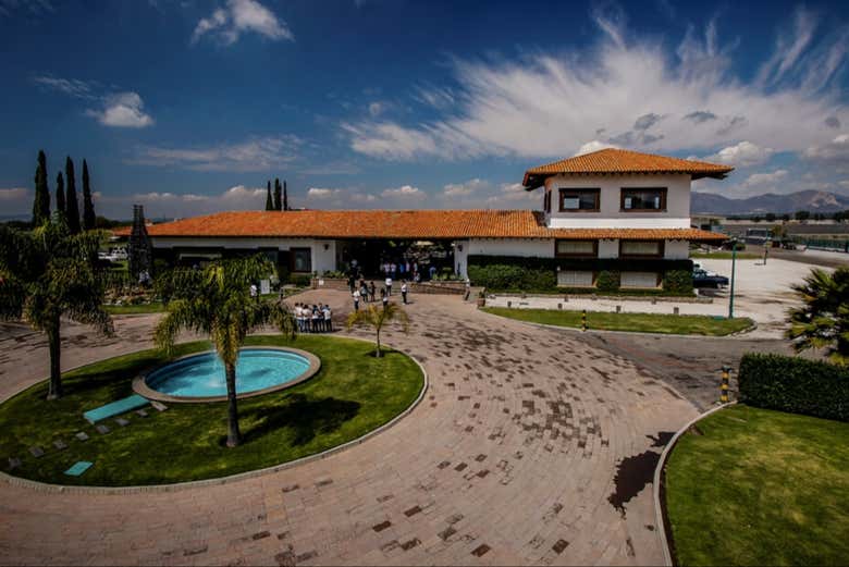 Freixenet de México, donde conoceremos cómo se elabora el vino