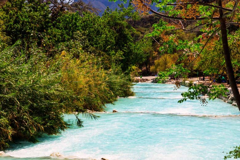 ¿Os animáis a daros un chapuzón?