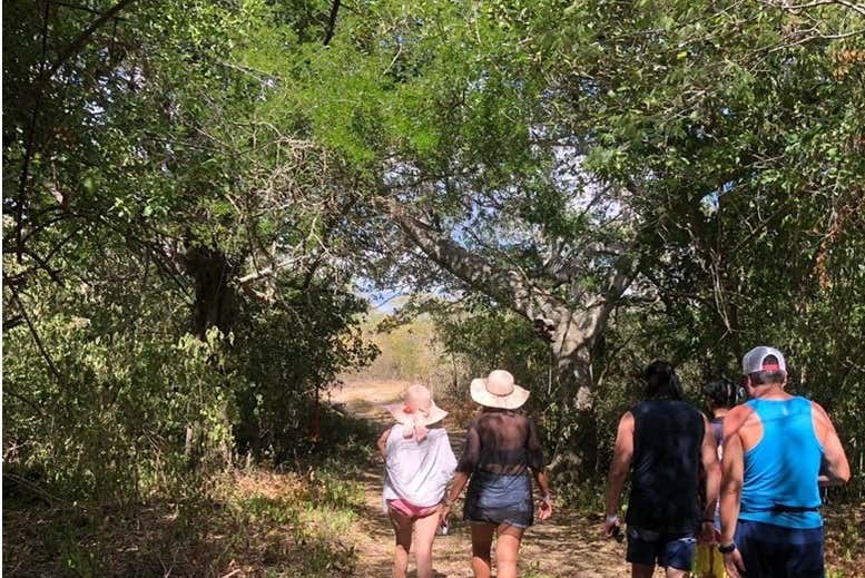 Discover the cenotes!