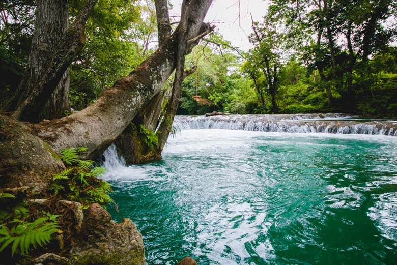 Naturaleza salvaje de la Huasteca Potosina