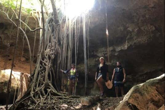 The guide explaining things in the hollow