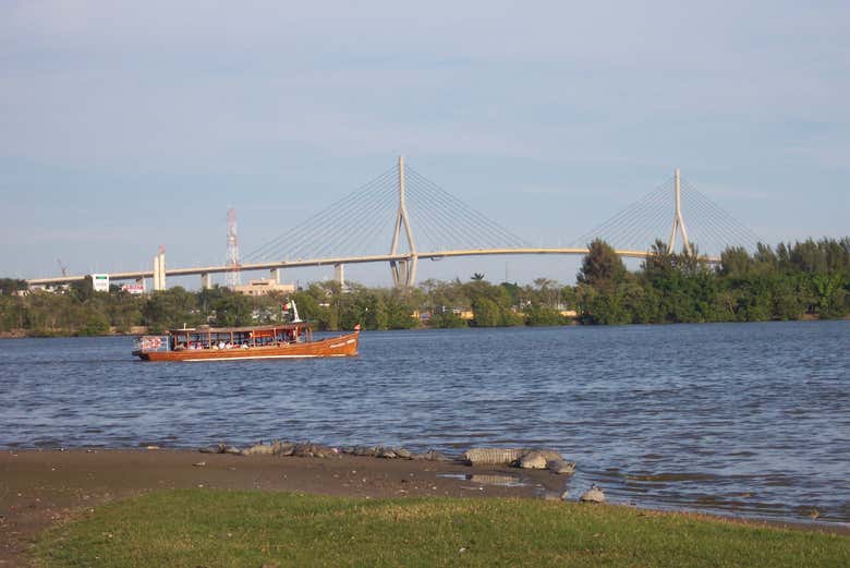Laguna del Carpintero