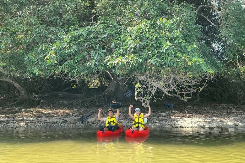 Manglares de la laguna del Chairel