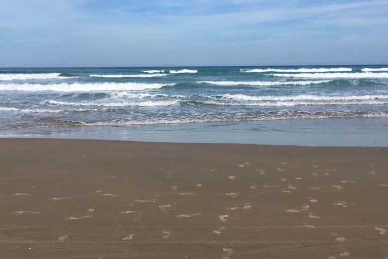 Playa Miramar