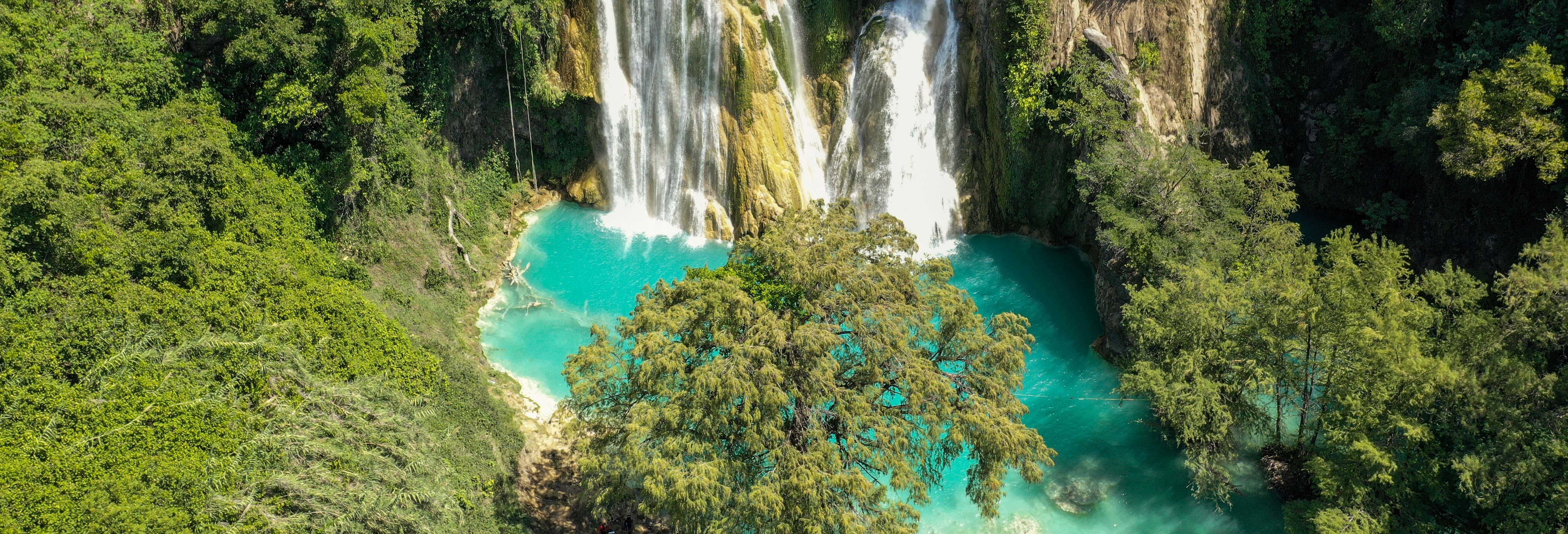Excursiones de un día en Tampico 