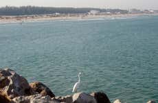 Tour di Tampico e della spiaggia di Miramar
