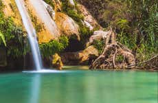 Mil Cascadas Day Trip