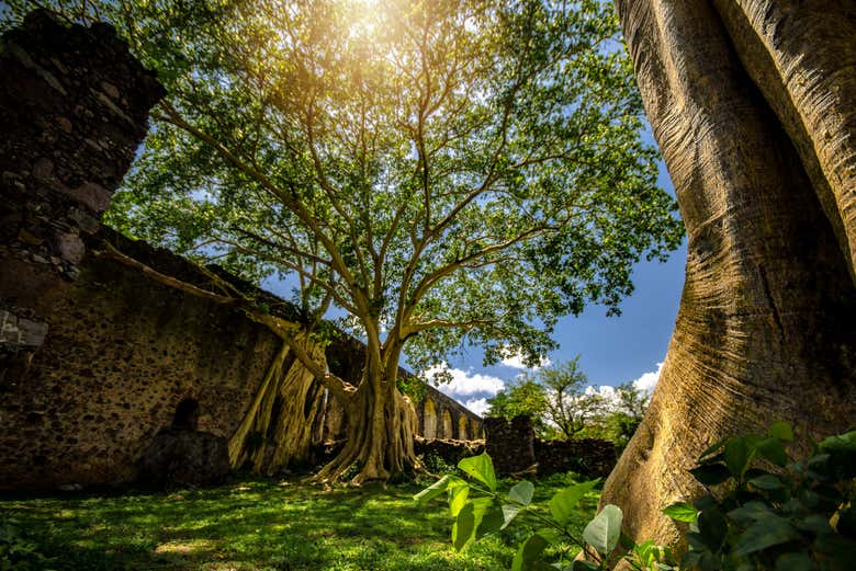Ex Hacienda of San Juan Bautista