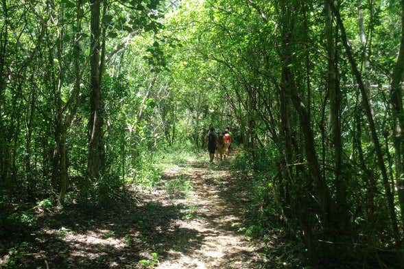 Tour por el Parque Natural Oxwatz
