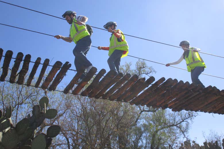 The hanging bridge in the cactus garden