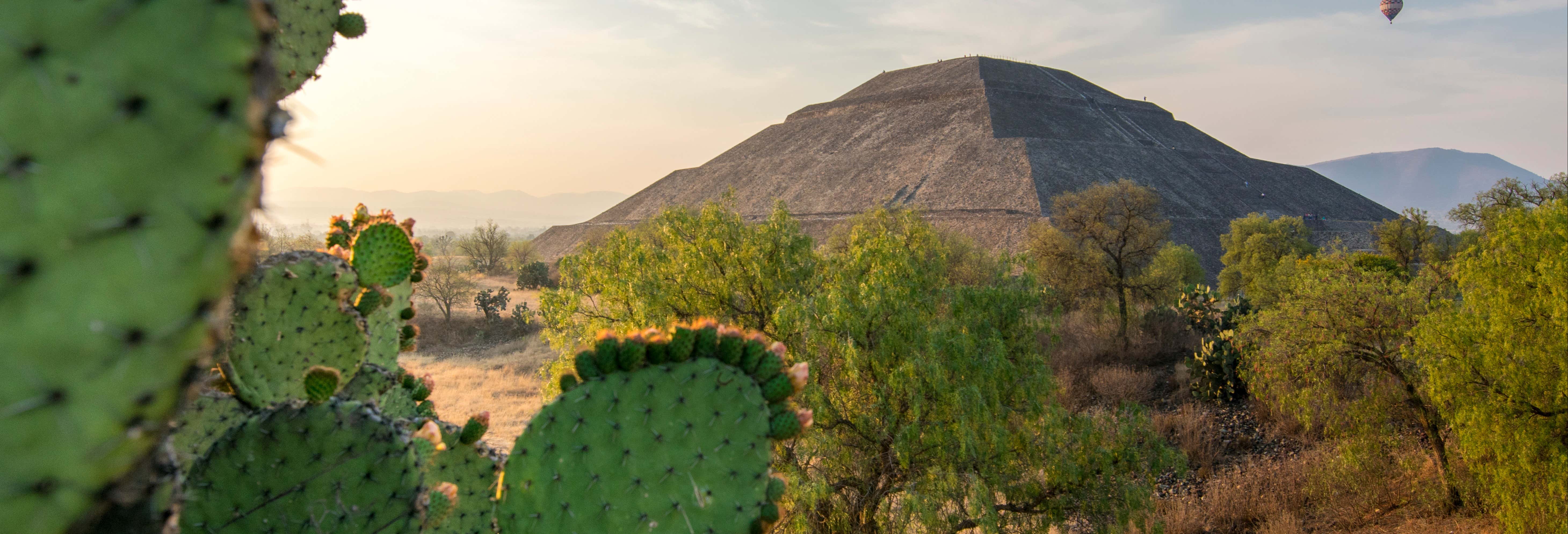 Guided tours and free tours in Teotihuacán