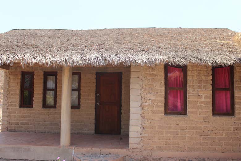 Learn about their traditions and customs