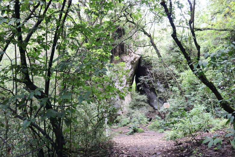 Llegando al portal energético de Amatlán
