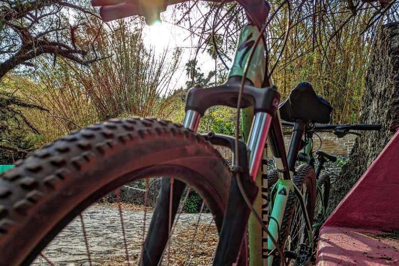 ¿Listos para pedalear?