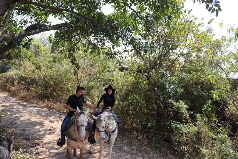 A lomos de los caballos
