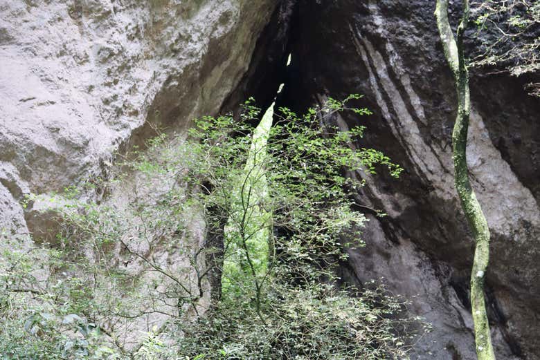 Entrada al portal de energía 
