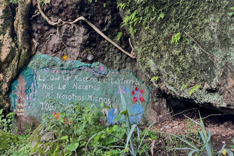 Frase bonita en el camino 