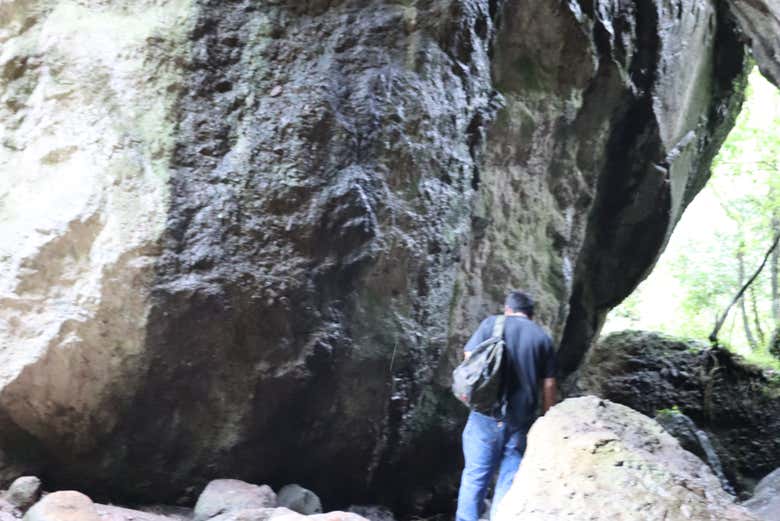Descubriendo todos los detalles de este lugar único en Amatlán