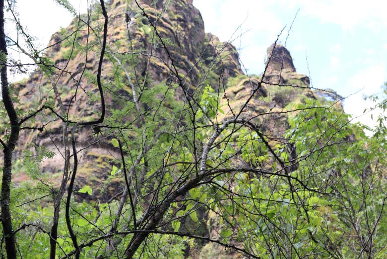 Formaciones rocosas de la zona