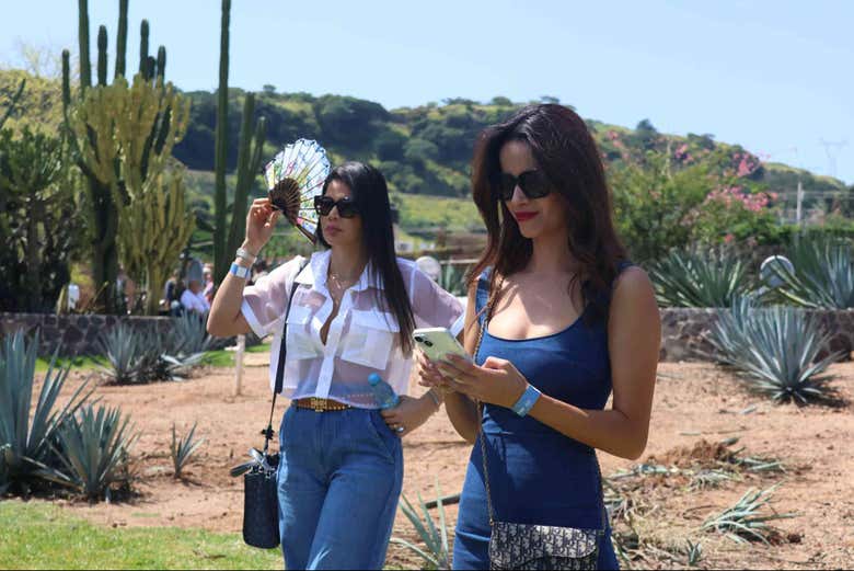 El recorrido en los campos de Casa Sauza