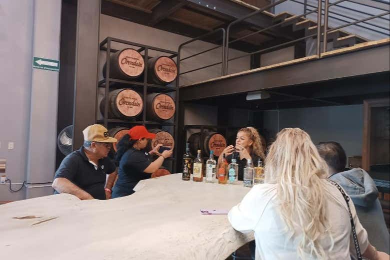 Degustação de variedades de tequila