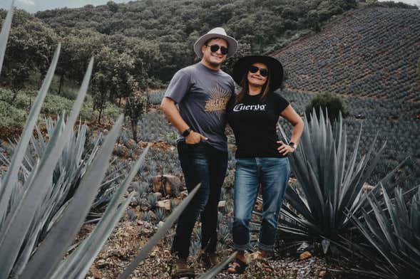 Visita alla distilleria La Rojeña