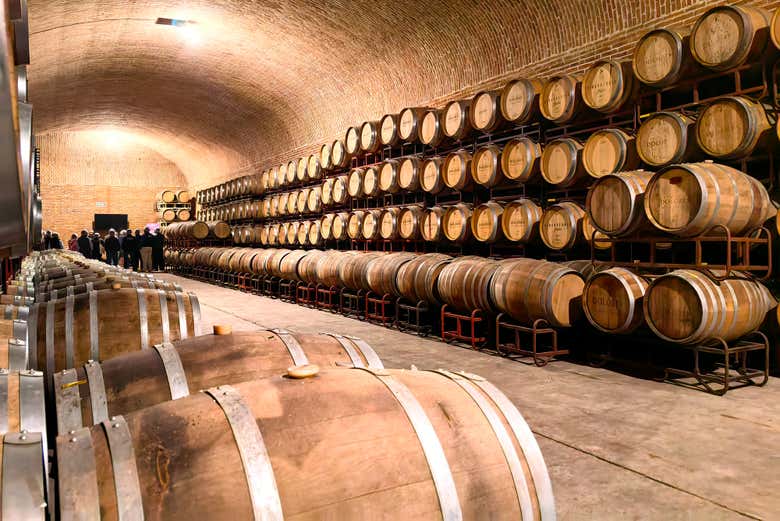 Explore the cellar room