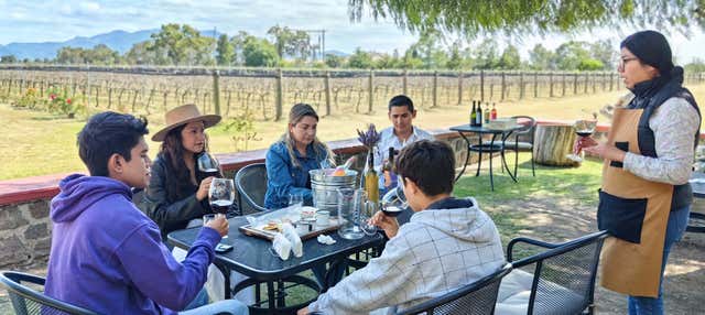 Tour de la cerveza y el vino por Tequisquiapan