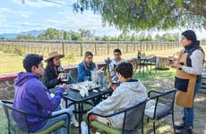 Tour della birra e del vino a Tequisquiapan